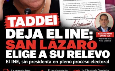 Taddei deja el INE en pleno proceso electoral; San Lázaro elegirá a su relevo