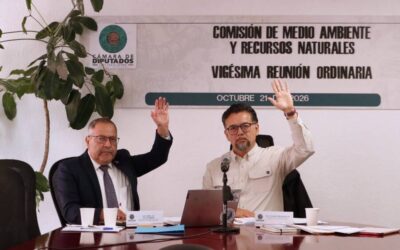 Comisión de la Cámara de Diputados propone reasignar 2,371 millones de pesos a seis programas ambientales