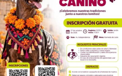 ¡Este Día de Muertos, los lomitos también se ponen festivos!