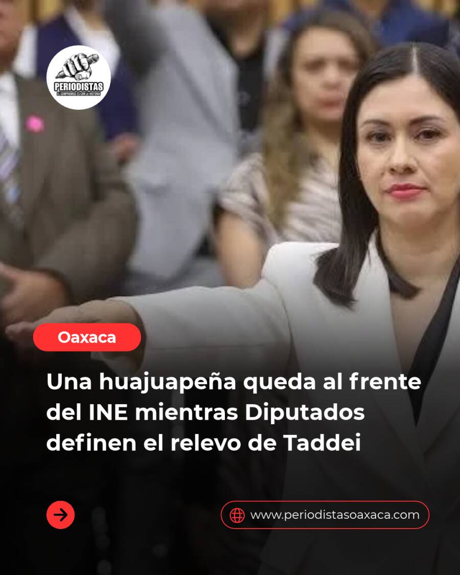 una-huajuapena-queda-al-frente-del-ine-mientras-diputados-definen-el-relevo-de-taddei-6ae10a62a4b8a